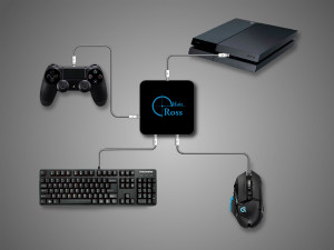 PS4 mouse and keyboard connection illustration